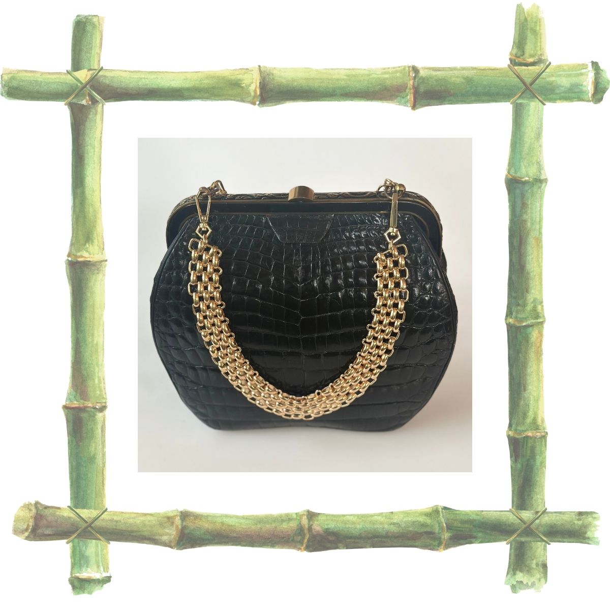 A085 - Cornelia